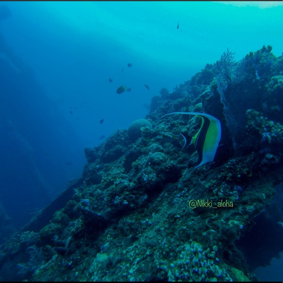 ๐บWelcome to my closet! ๐บ - Picture 2 of 4